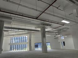 Maplewoods (D21), Warehouse #461402601